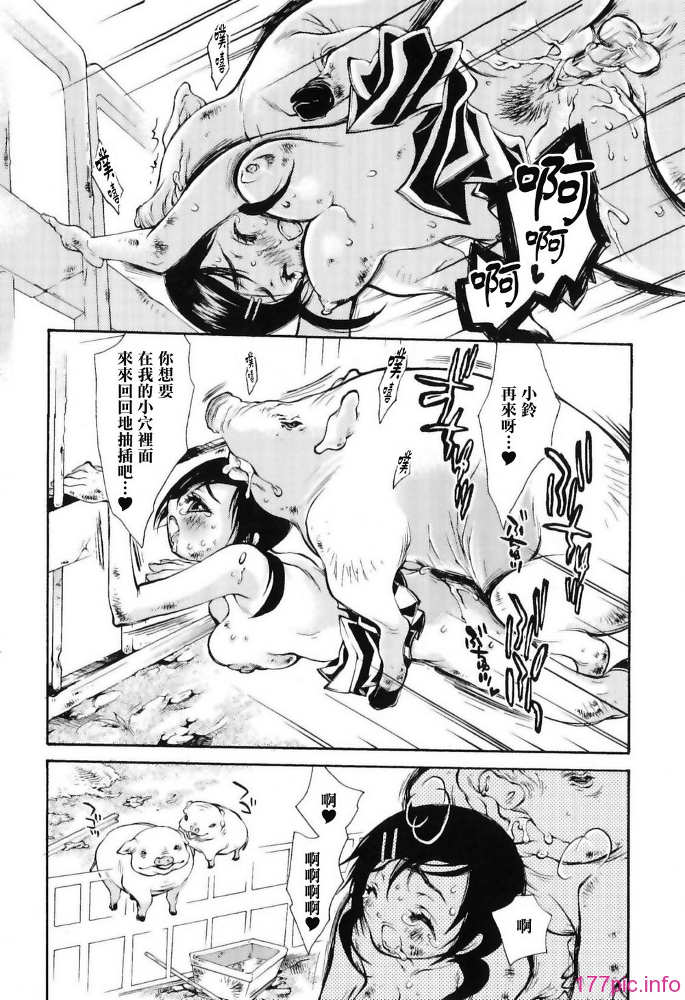 img (66)