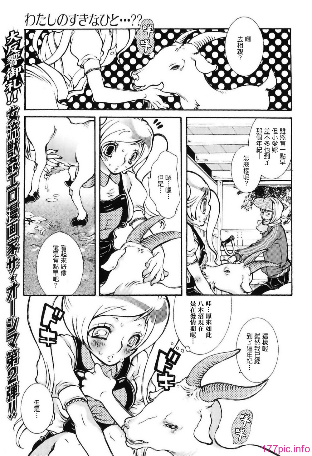 img (73)