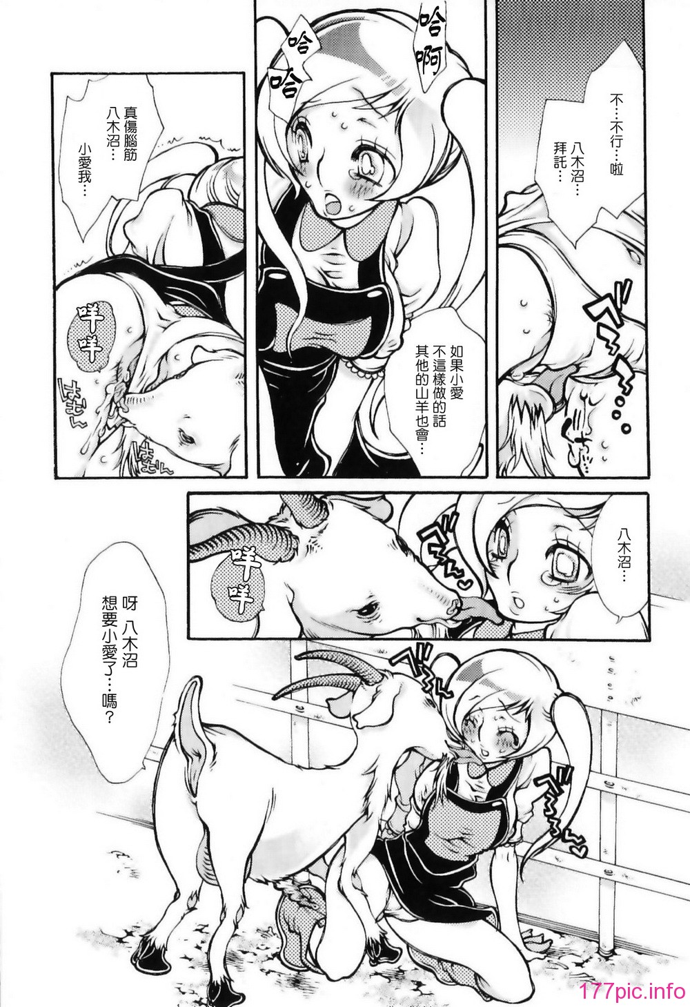 img (77)
