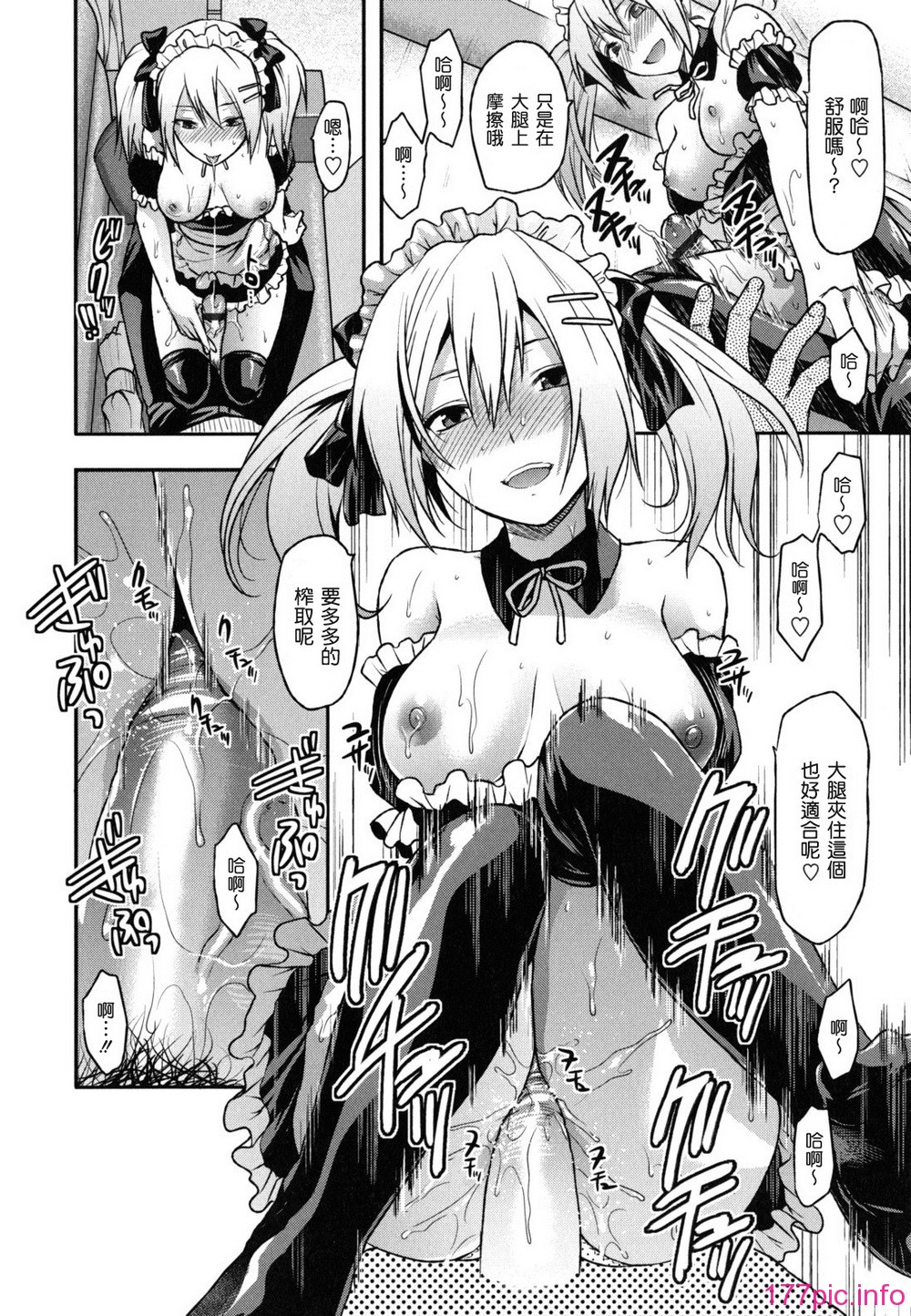 anekoi_0046