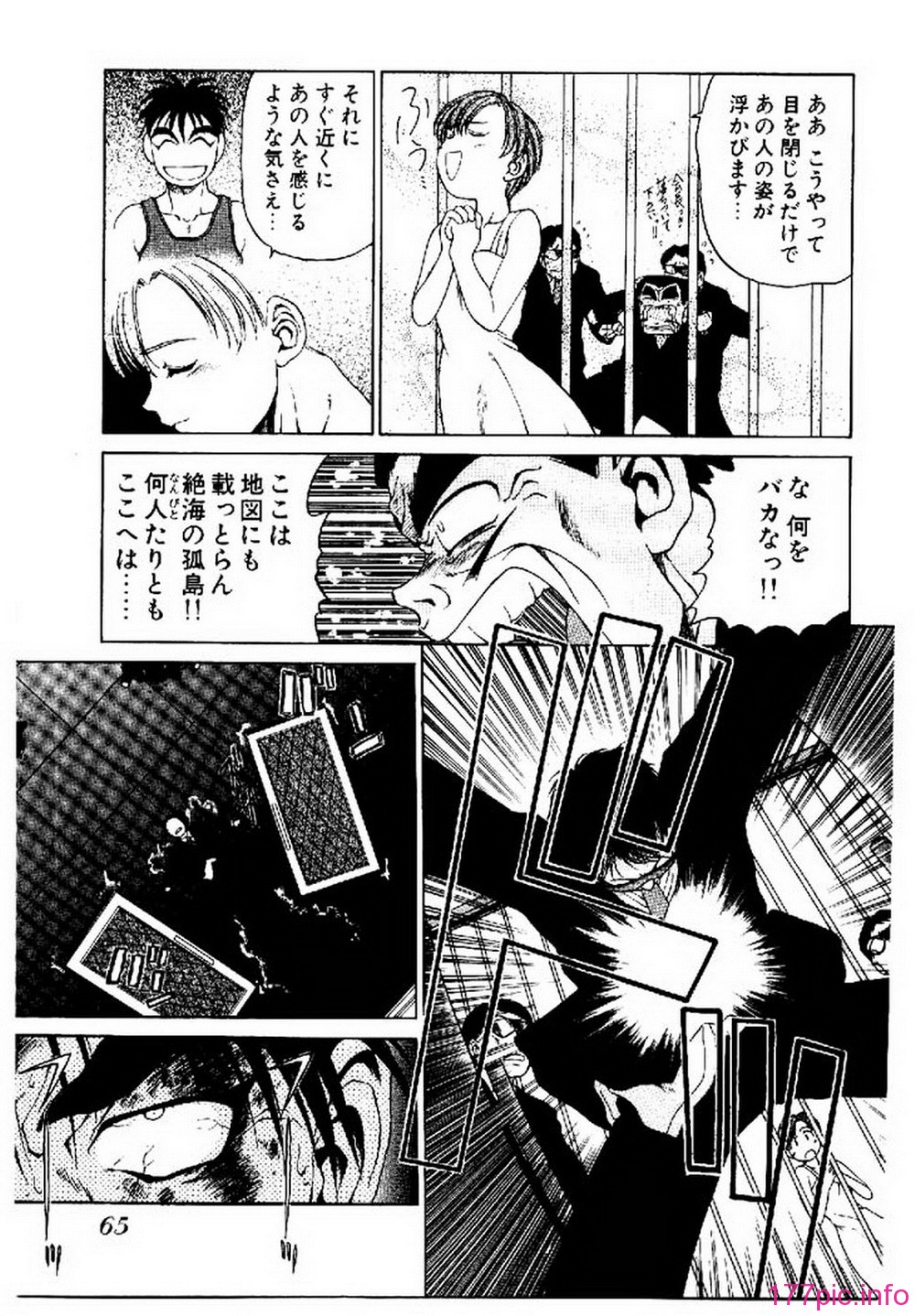 ric065