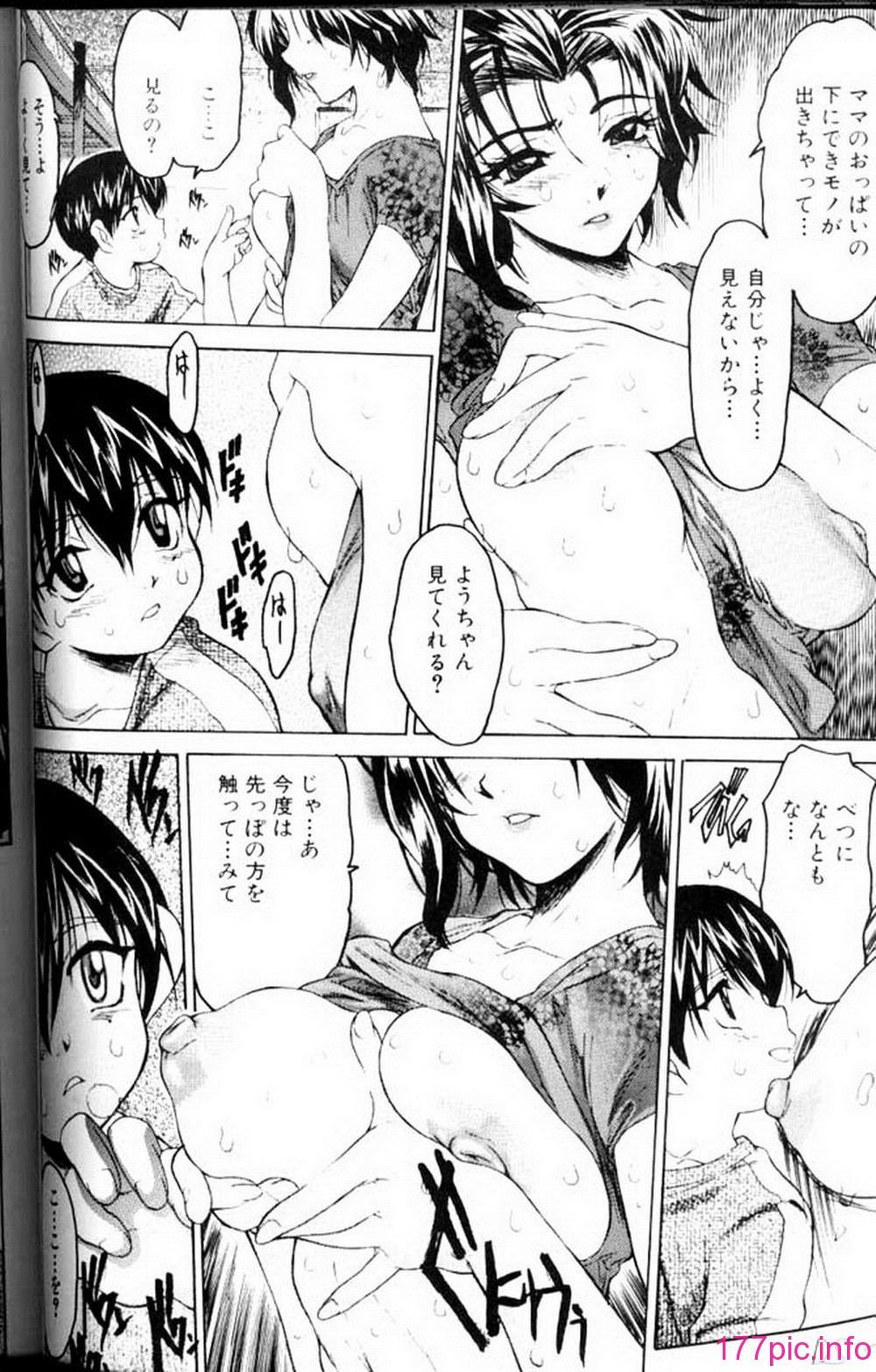 ric065