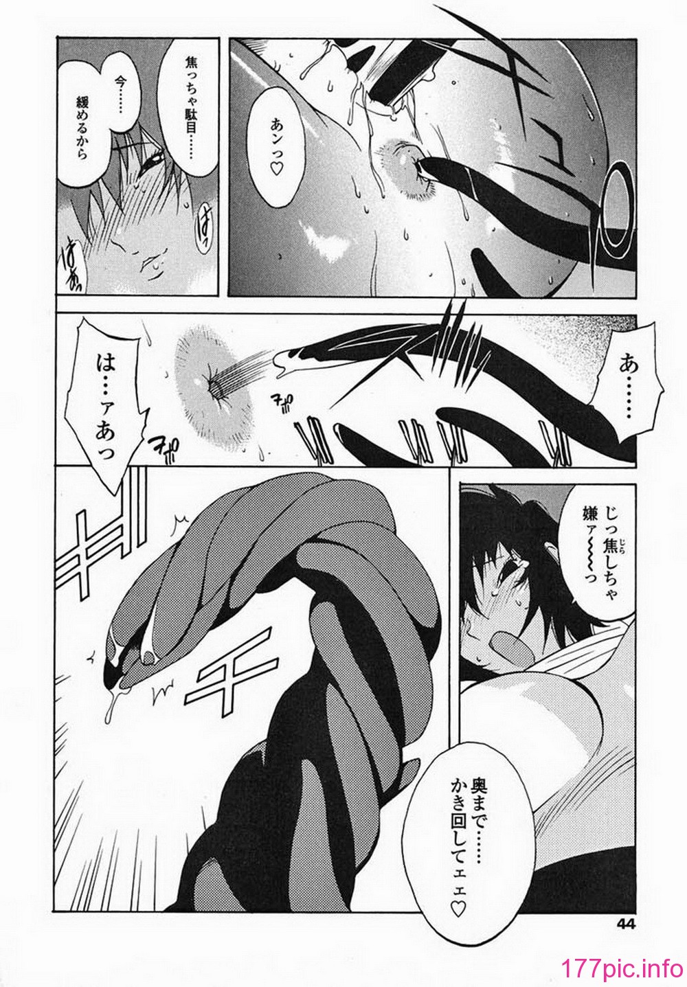 ric041