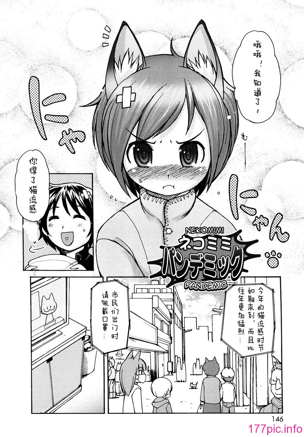 146