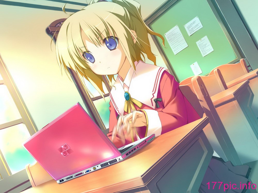 241