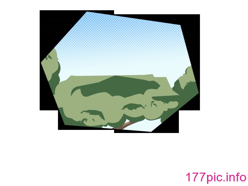341