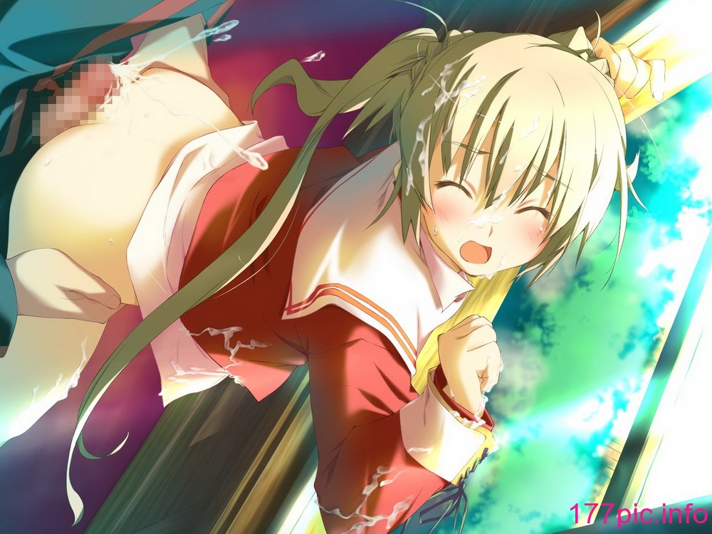 511