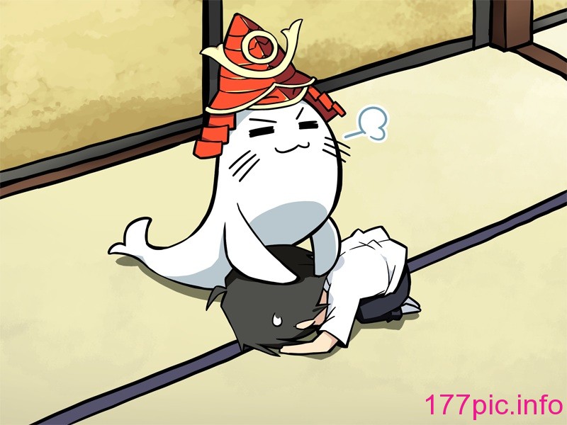 1041