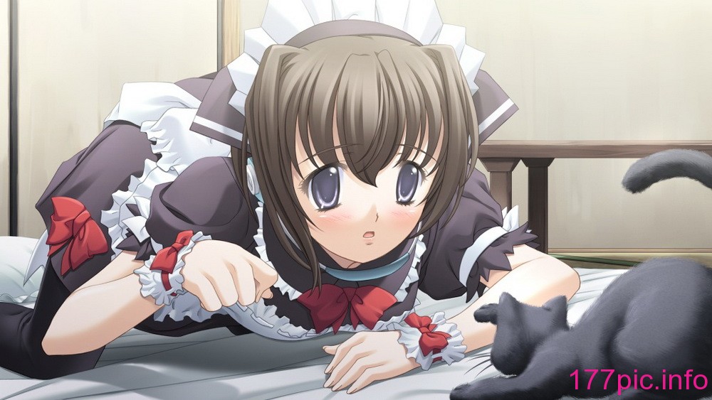 126