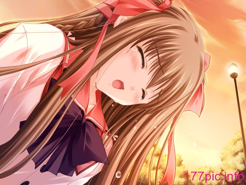 204