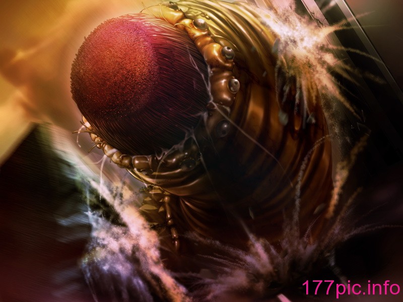 038