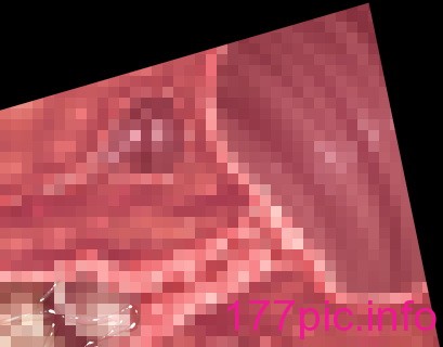 1111