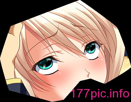 1161