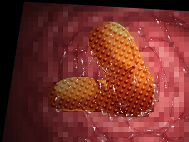 1182