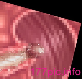 1523
