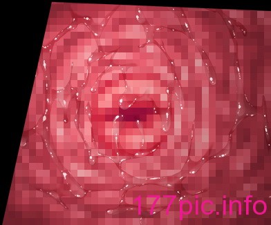 2425