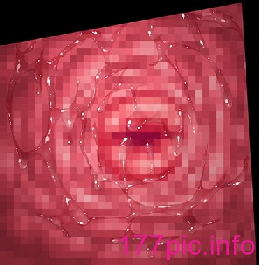 3041