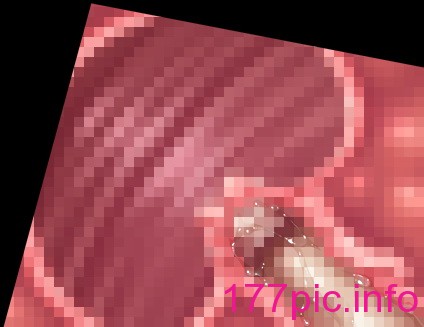 3045