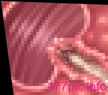 3368