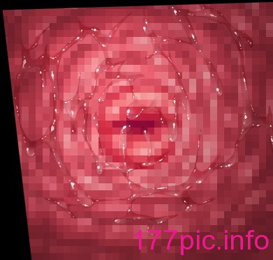 767