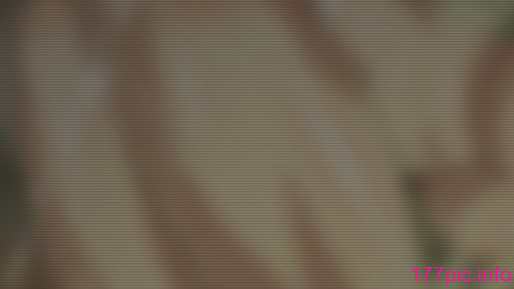 088