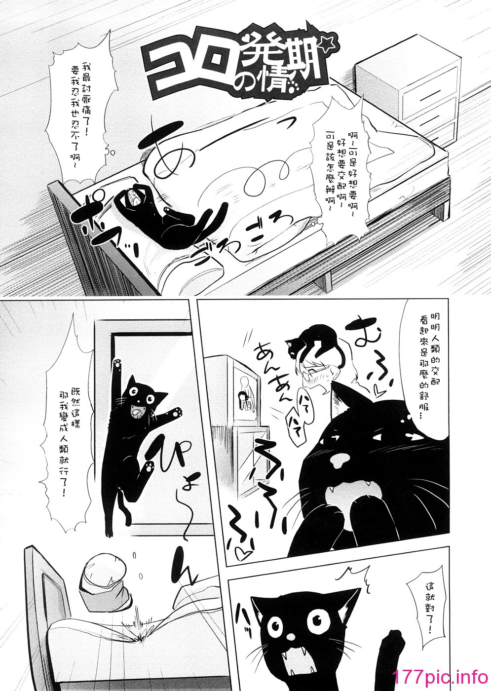 072