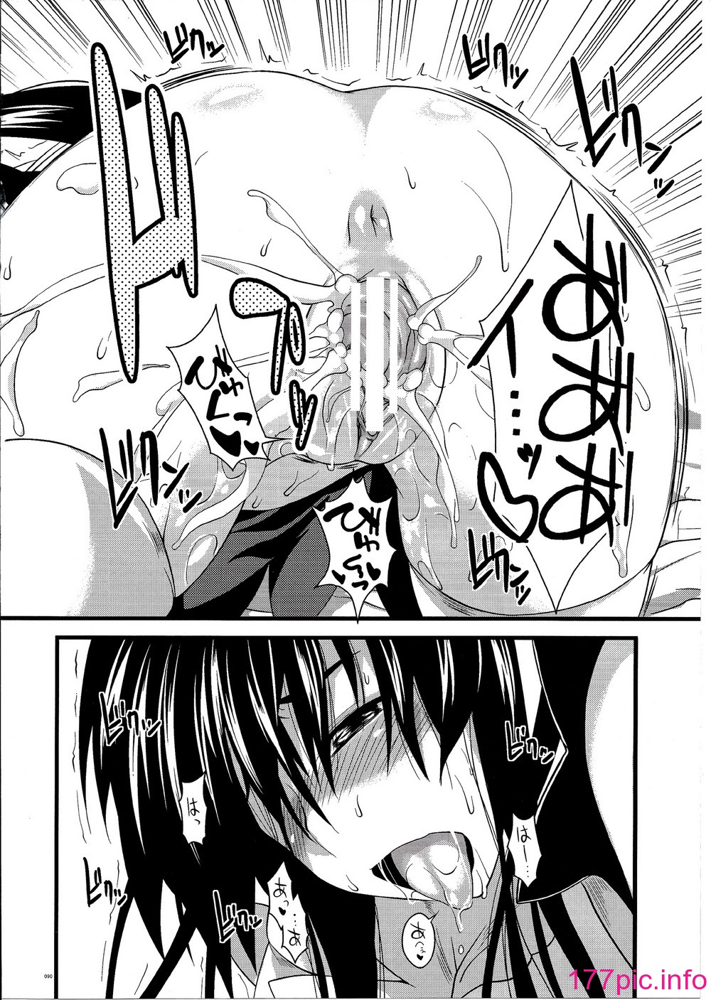 zz090