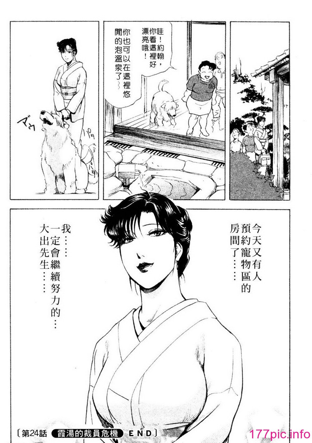 zz203