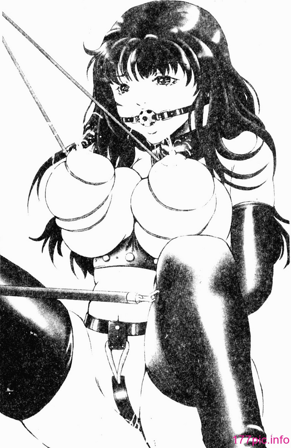 003