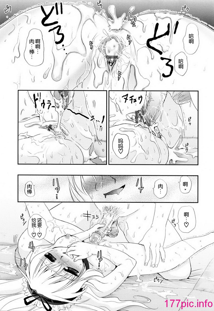 036