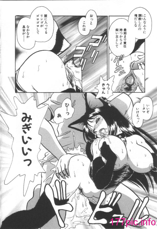 155