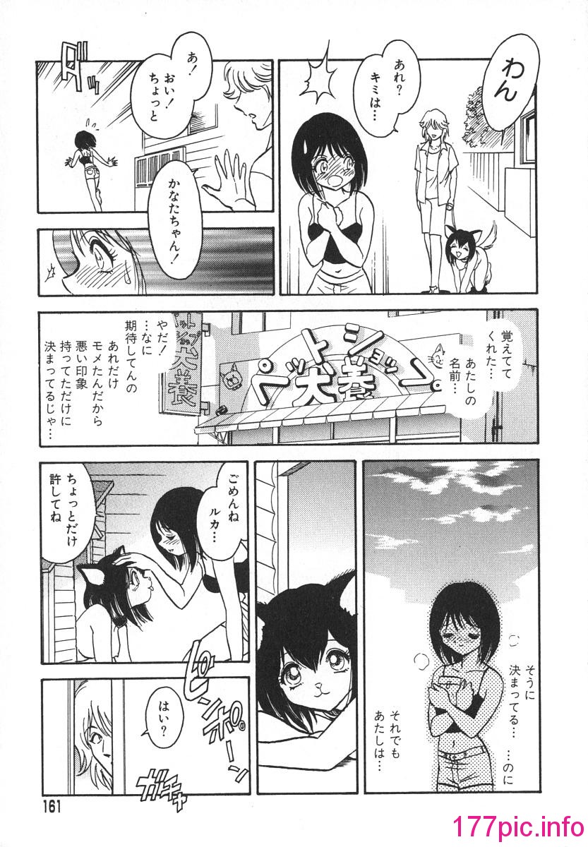 164