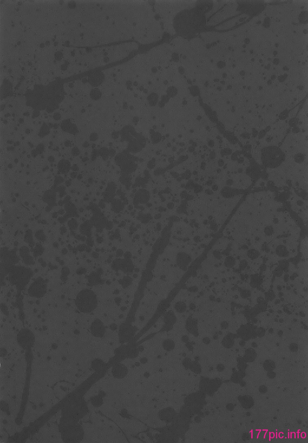 023