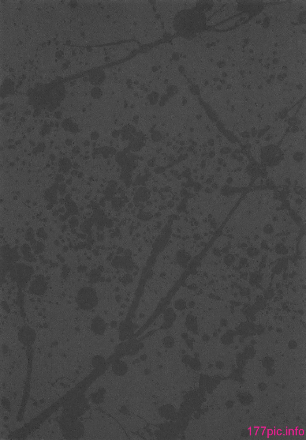 041