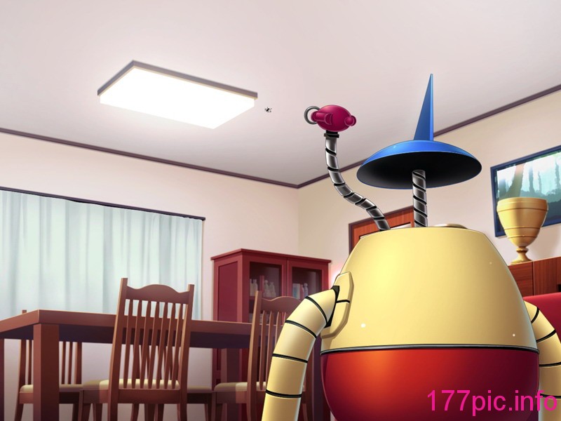 591