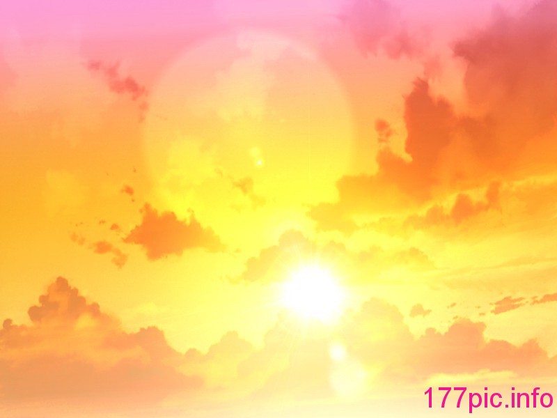 041