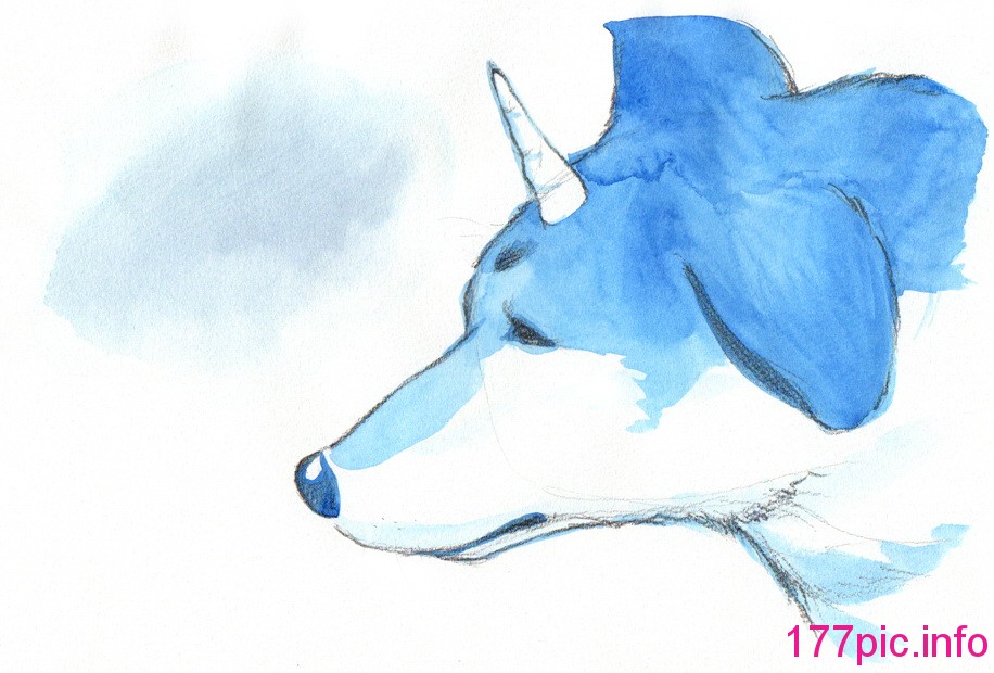 003