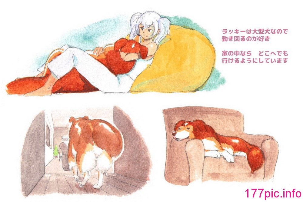 011