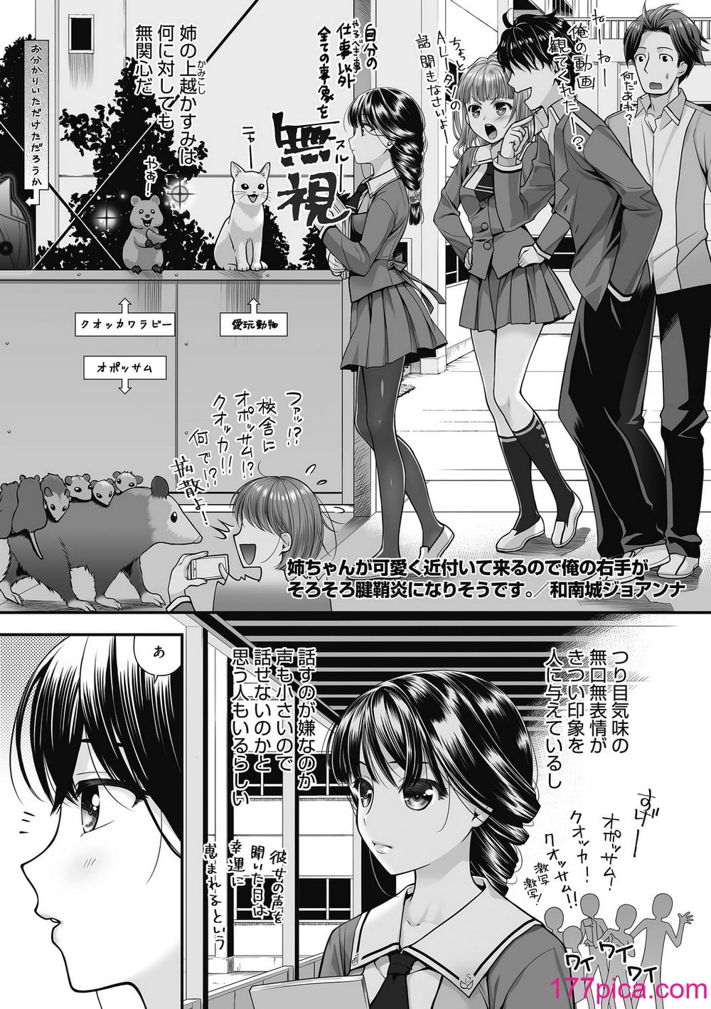 [和南城ジョアンナ] ハニーアンバー [DL版][93P]-第1章-图片3