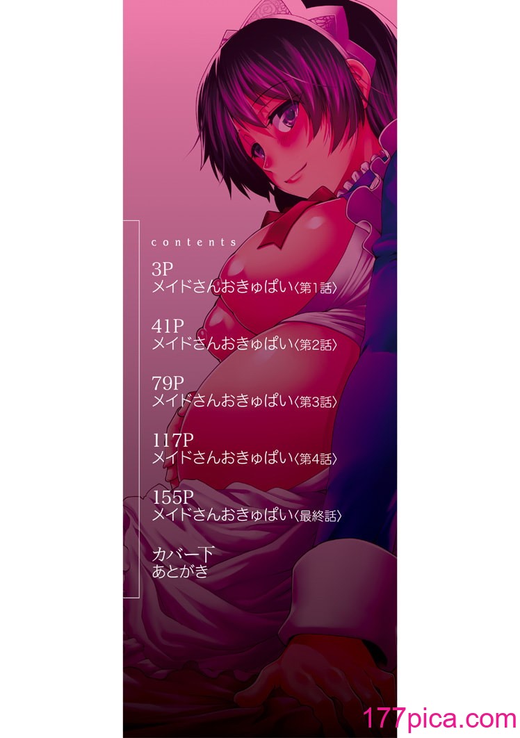 [有賀冬] 孕メイド [DL版][239P]-第1章-图片2