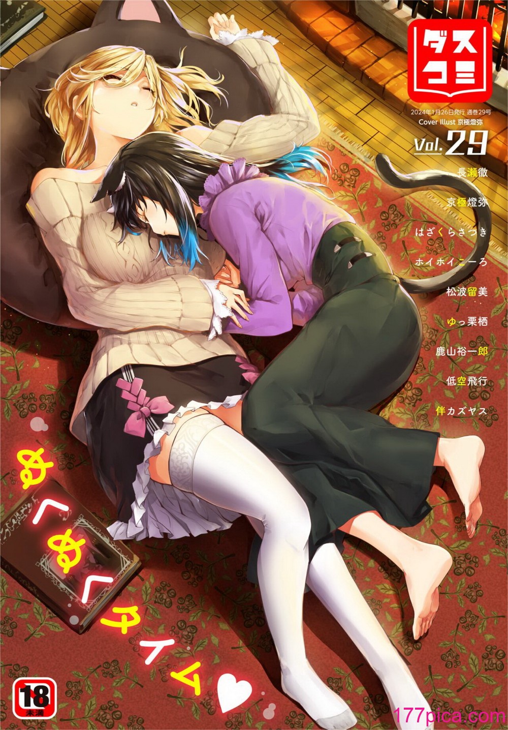 ダスコミ Vol.29 [DL版][204P]