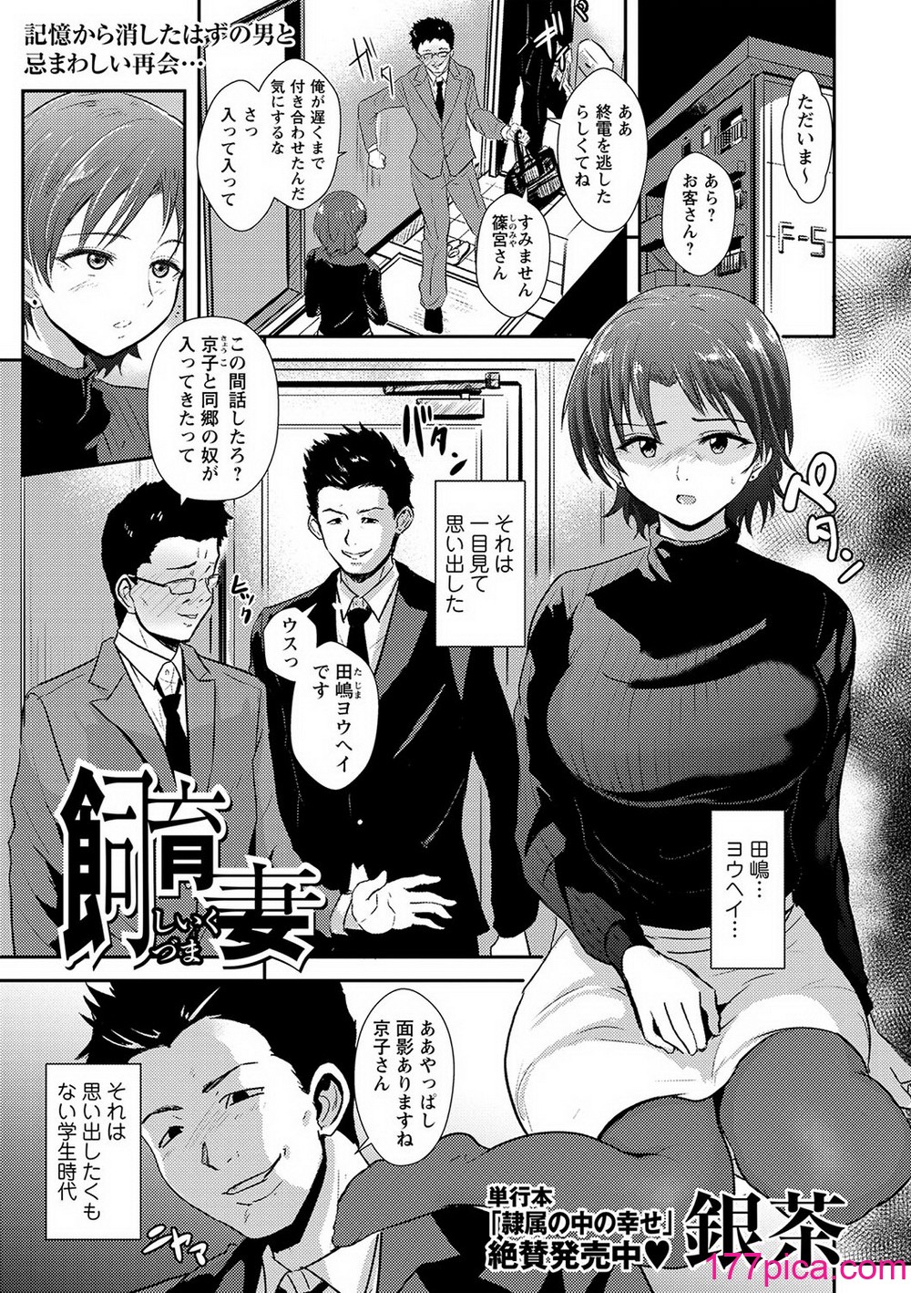 コミックマショウ 2024年5月号 [DL版][265P]-第1章-图片8