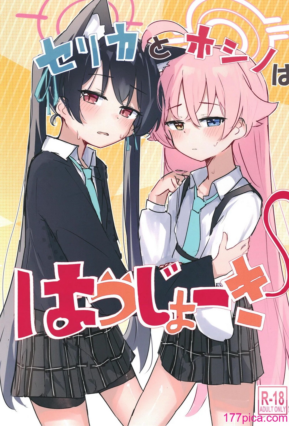 [干しいか (いか)] セリカとホシノははつじょーき (ブルーアーカイブ) [DL版][44P]-第1章-图片1
