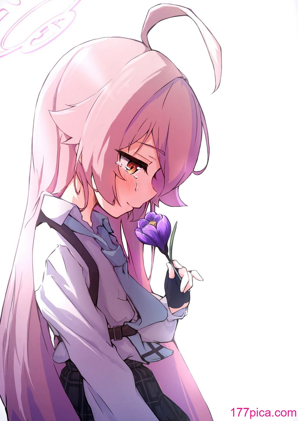 [めるめる団 (めるーを)] 菖蒲色の花泪夫藍 (ブルーアーカイブ) [DL版][39P]-第1章-图片2