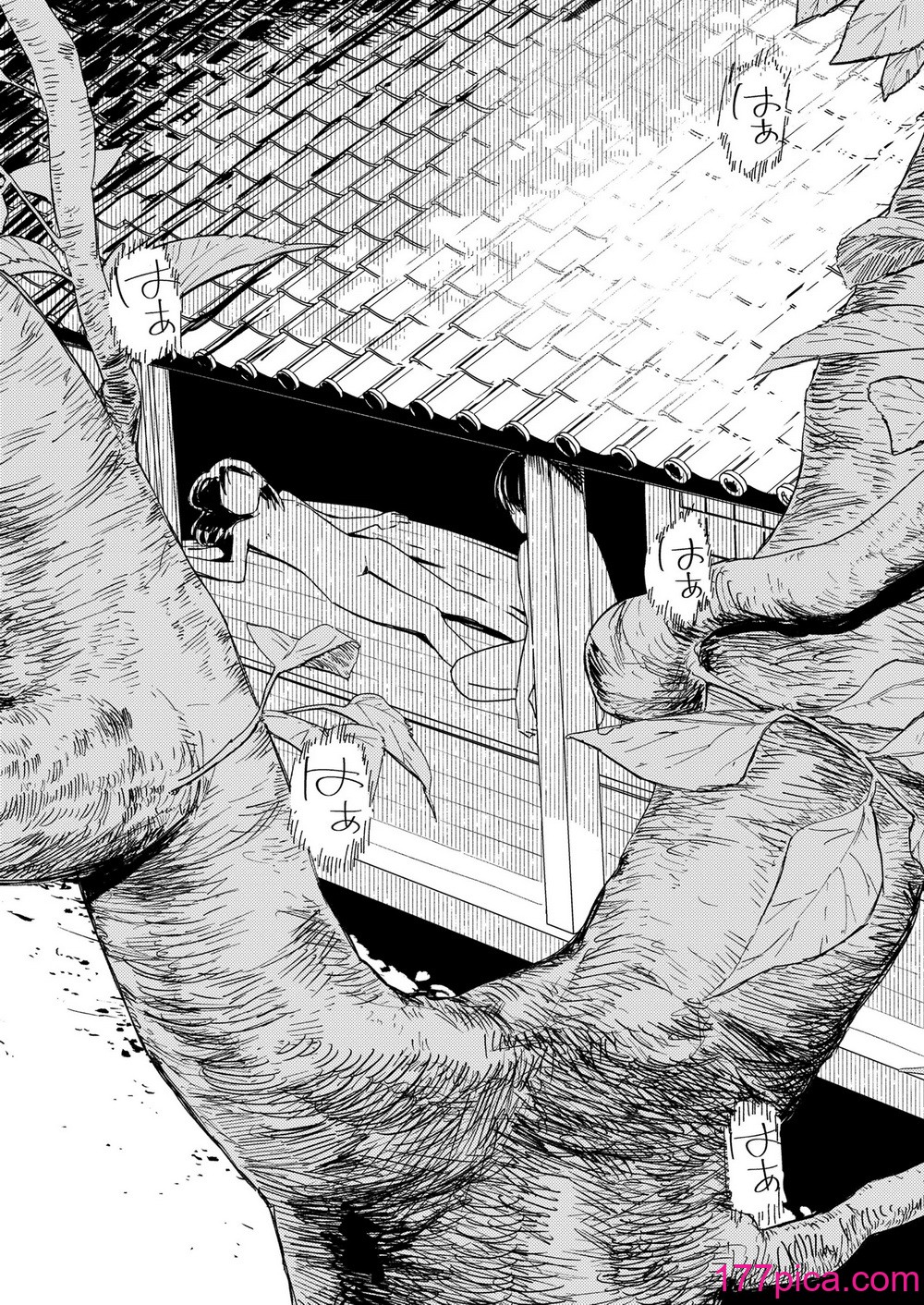COMIC LOE VOL.11 LOE NEXT2[154P]-第5章-图片10