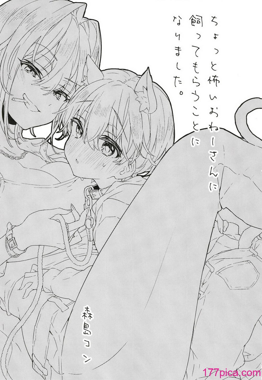 [紺色ドロップス (森島 コン) ] ちょっと怖いおねーさんに飼ってもらう事になりました。[DL版][61P]-第1章-图片2