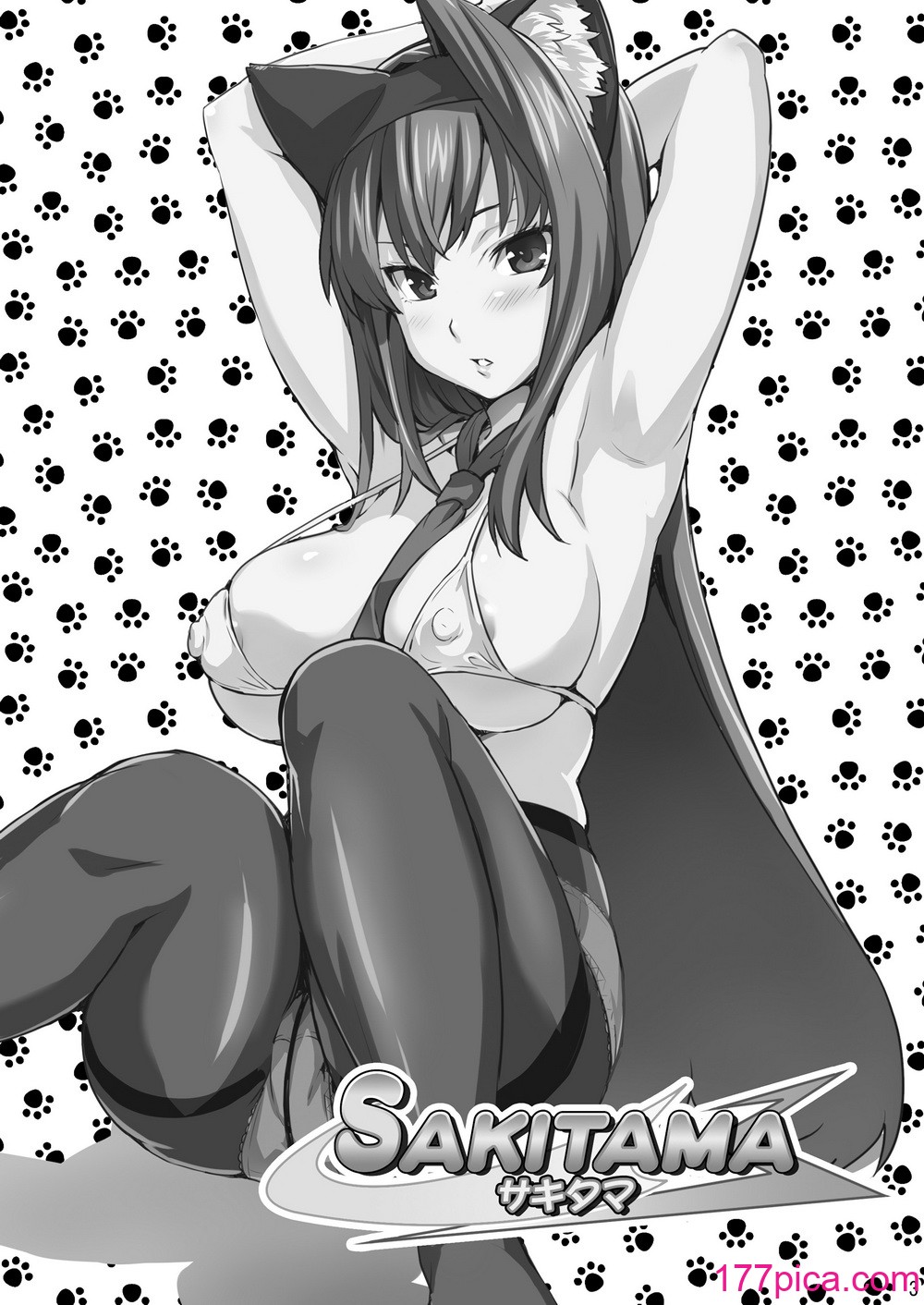 [真珠貝 (武田弘光)] SAKITAMA サキタマ (アルカナハート) [無修正] [DL版][47P]-第1章-图片2