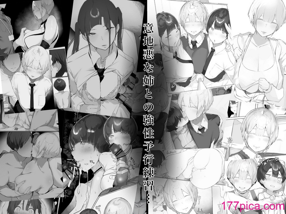 [ミントのちっちゃいお穴 (ミント・ムッツリーニ)] お姉ちゃんはみるく味 (オリジナル)[86P]-第1章-图片4