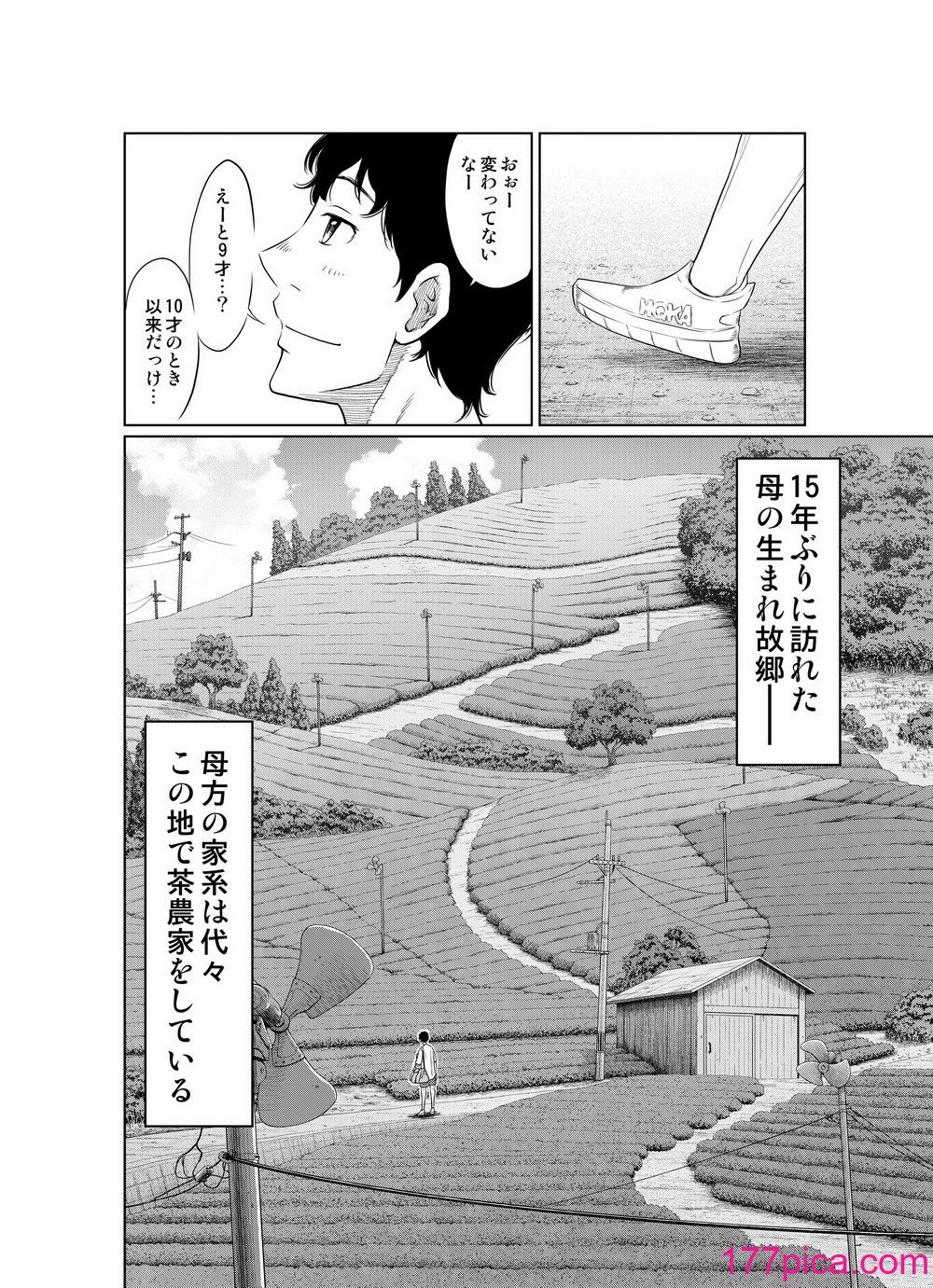[這禽サイコ] 夏本番！！とんでも孕ませ大作戦[63P]-第1章-图片4