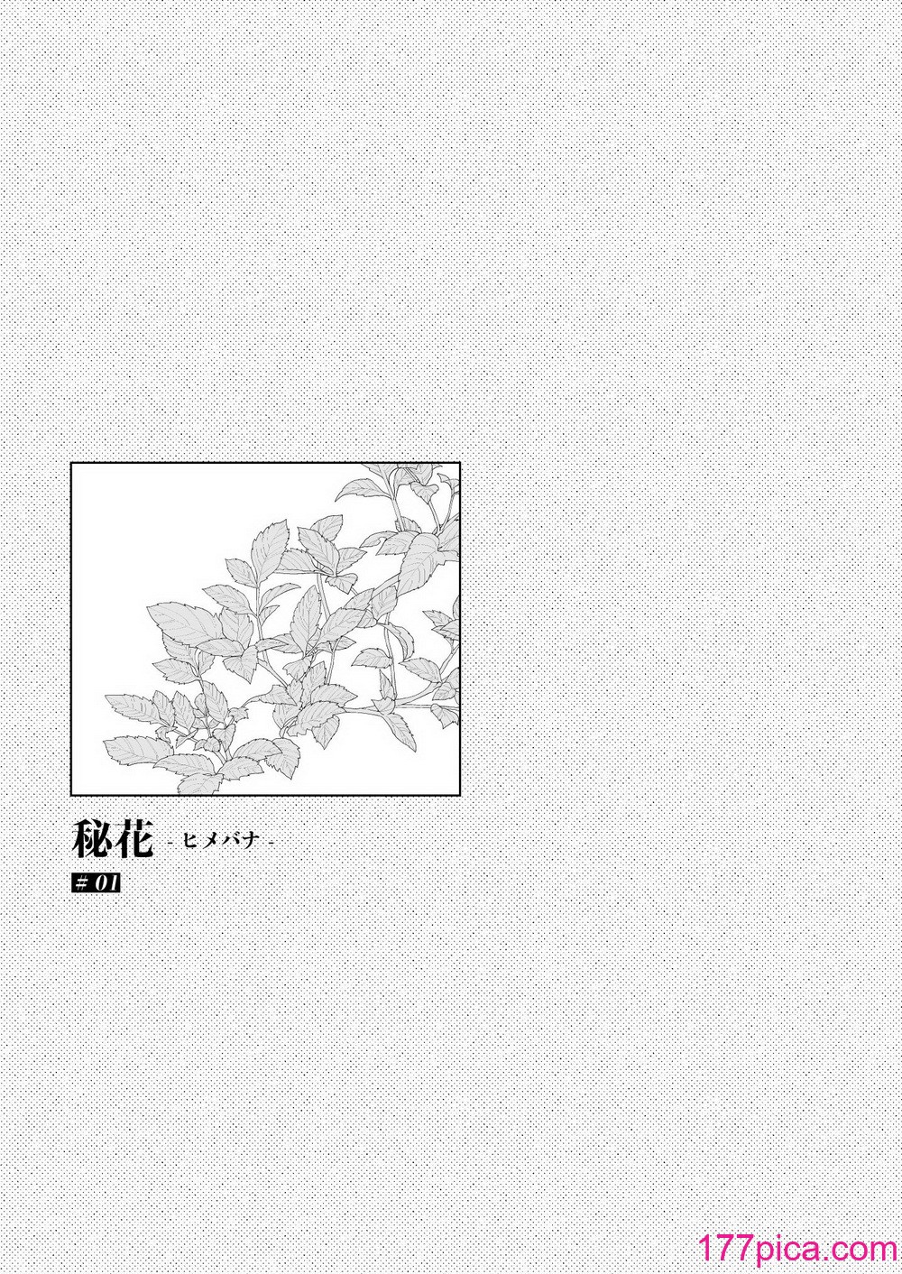 [ひらひら (ひらり)] 秘花-ヒメバナ[85P]-第1章-图片3